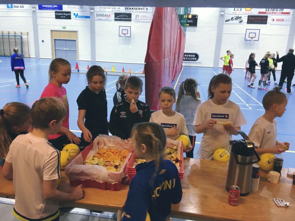Sparebank1 Håndballskole